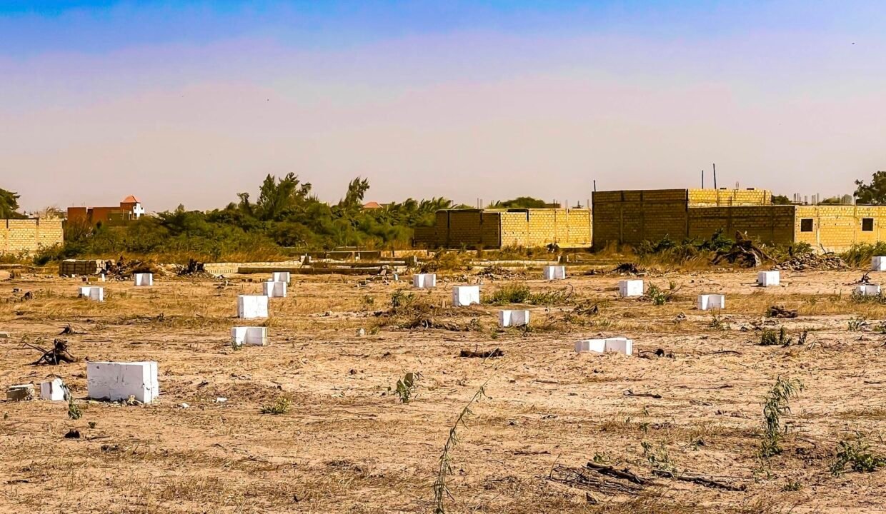 5914fa55-60c8-4ac9-a1ab-76317646467b