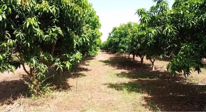 Commerce à Vendre à Rufisque