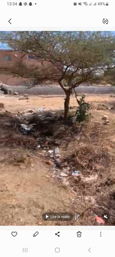 Vente Terrain à Diamniadio