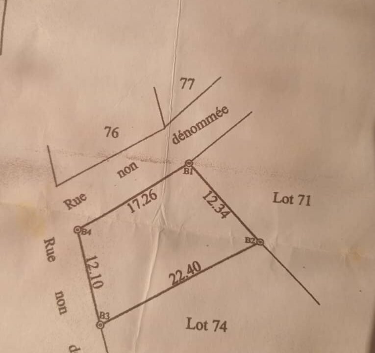 WhatsApp Image 2025-02-05 at 18.54.20