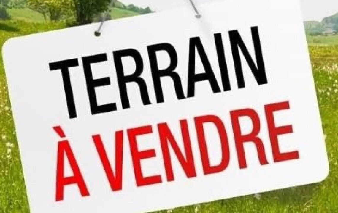 WhatsApp Image 2025-02-19 at 19.53.43