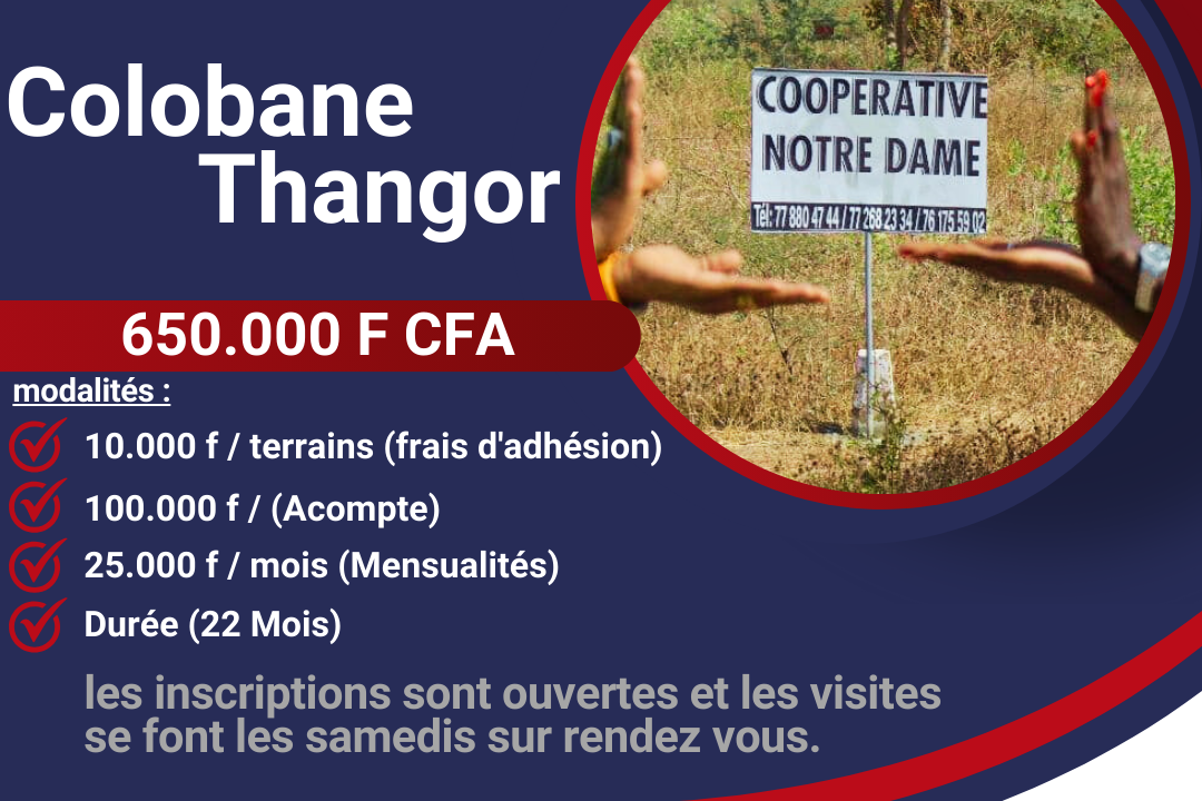 2_20250302_210548_0001