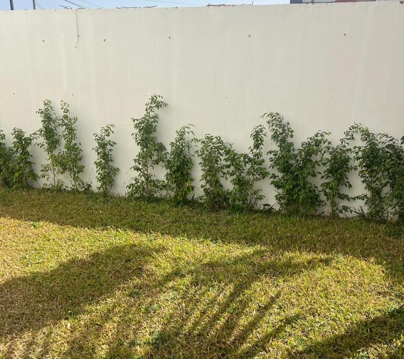 7c1b7afe-226e-4b99-b09b-e64fc5dfd4a2