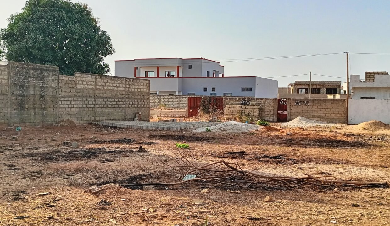 IMG_20250307_173727_080