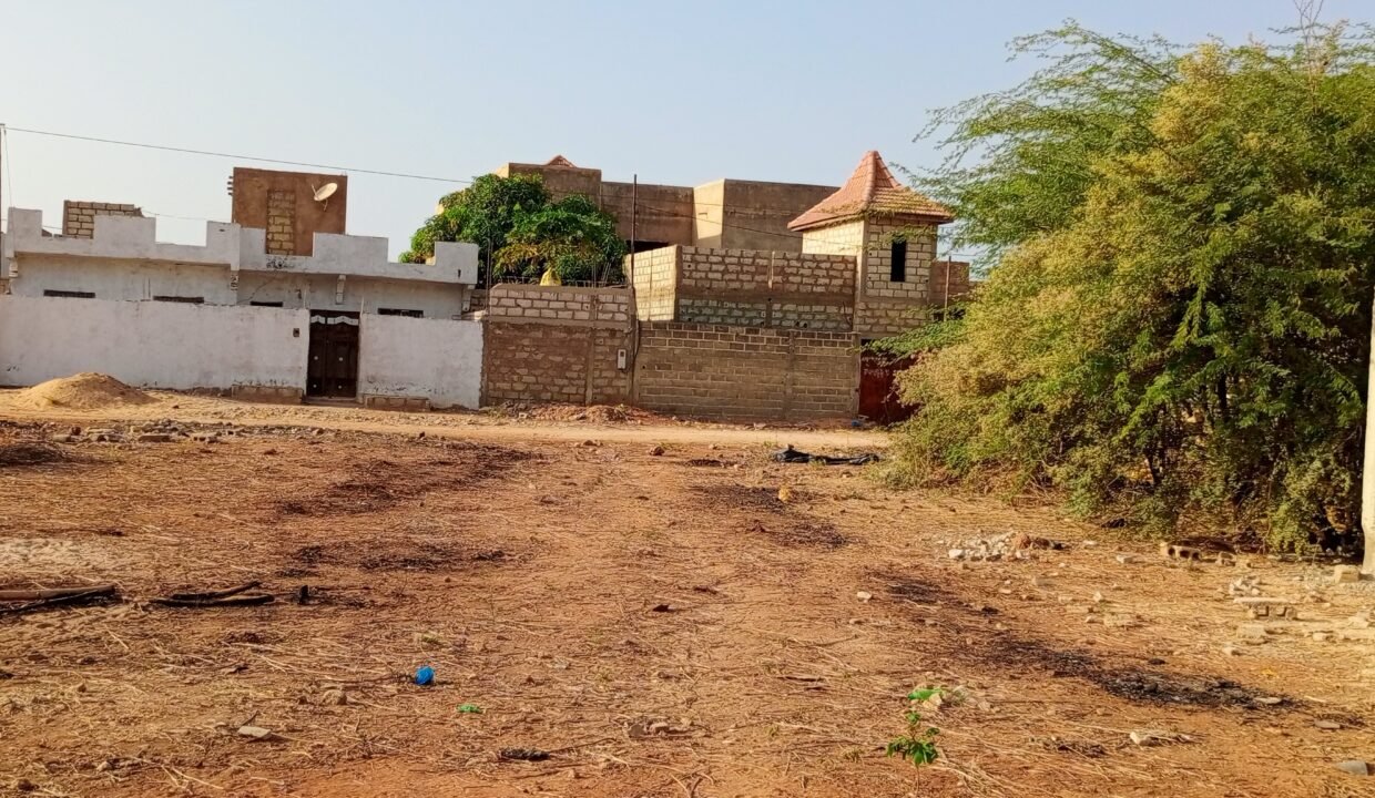 IMG_20250307_173731_273