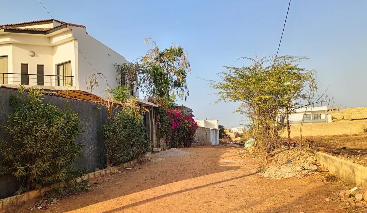 IMG_20250307_180317_706