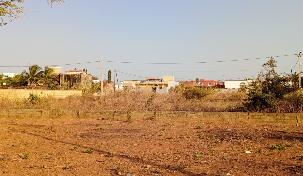 IMG_20250307_180340_715