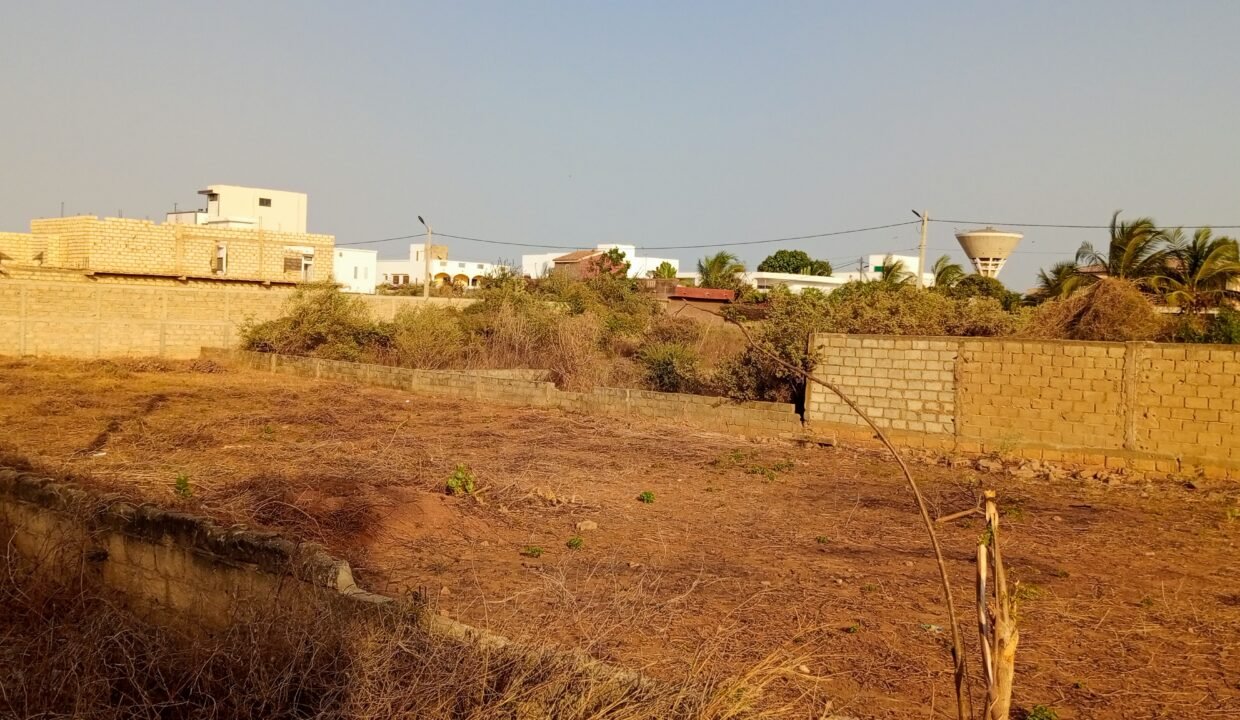 IMG_20250307_180404_248