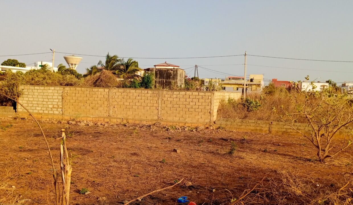 IMG_20250307_180408_344