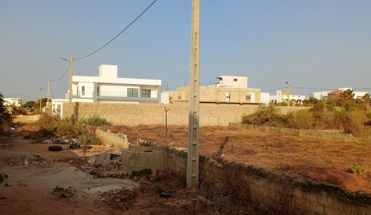 IMG_20250307_180417_651