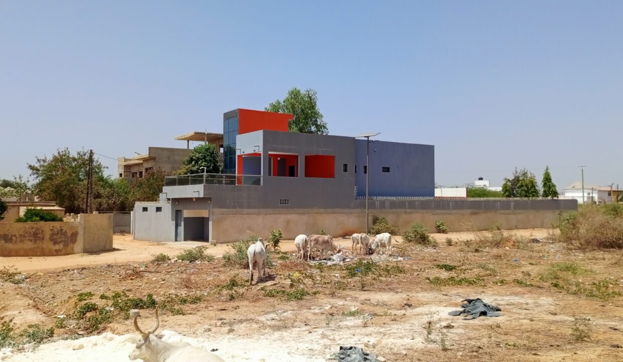 IMG_20250323_142456_495