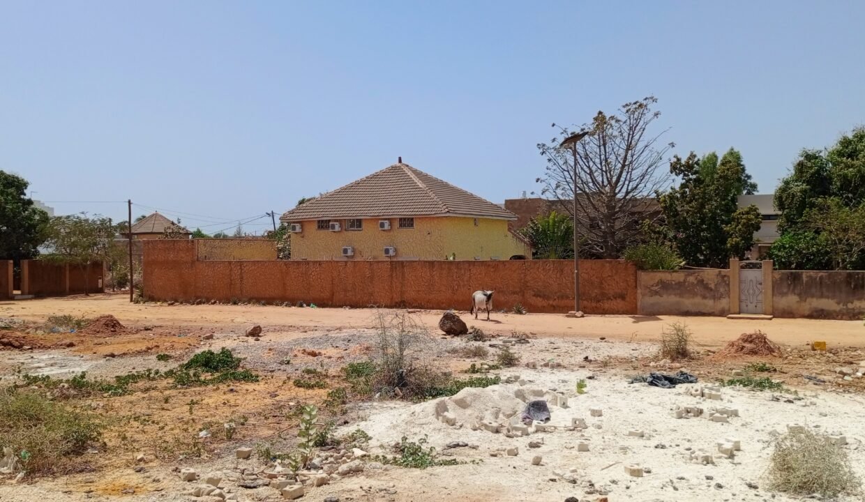 IMG_20250323_142501_165