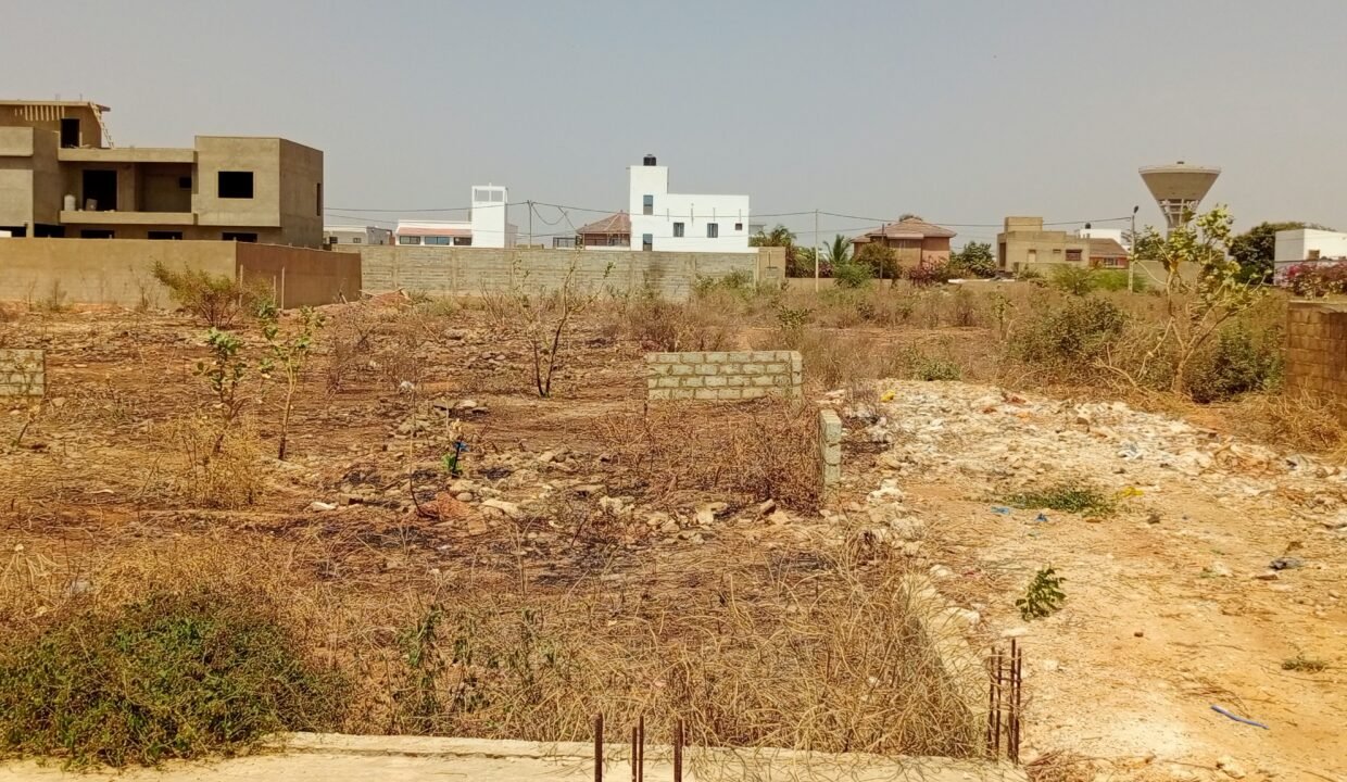 IMG_20250323_142729_084