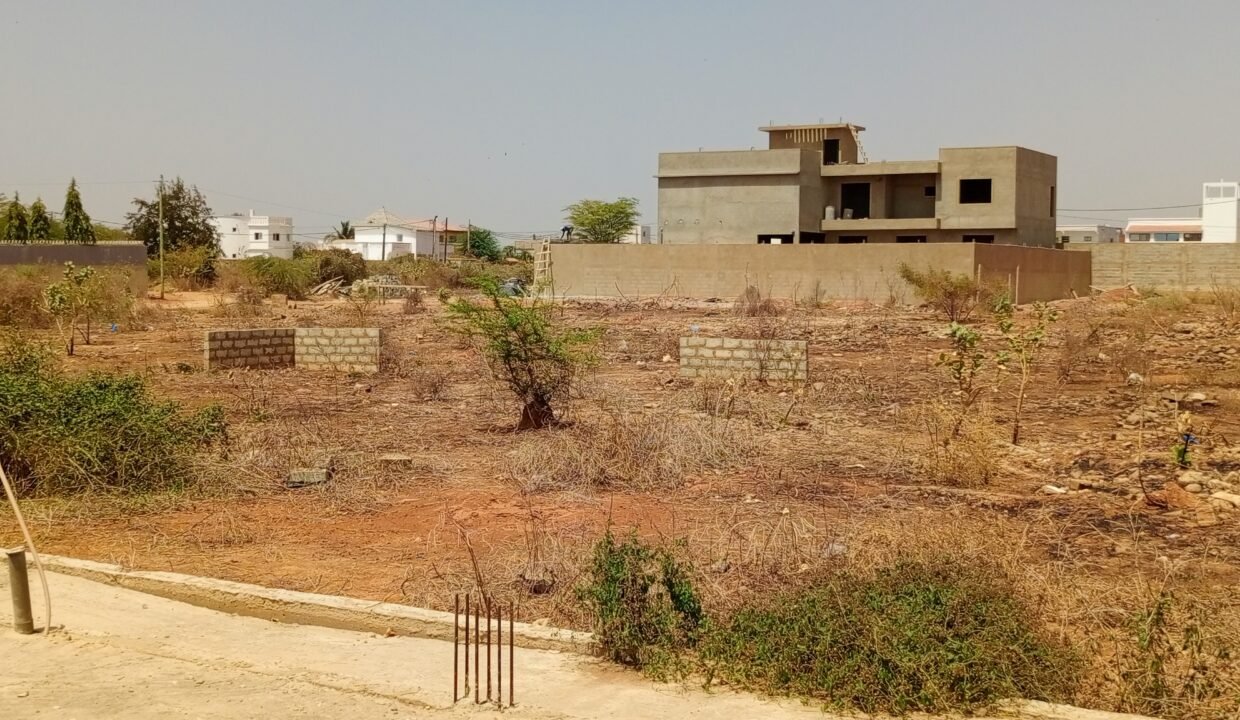 IMG_20250323_142734_889