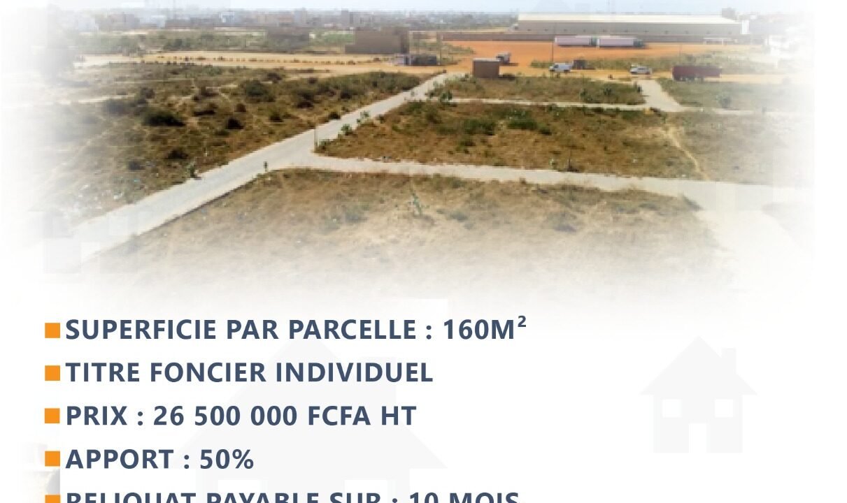 WhatsApp Image 2025-02-14 at 16.48.18 (1)