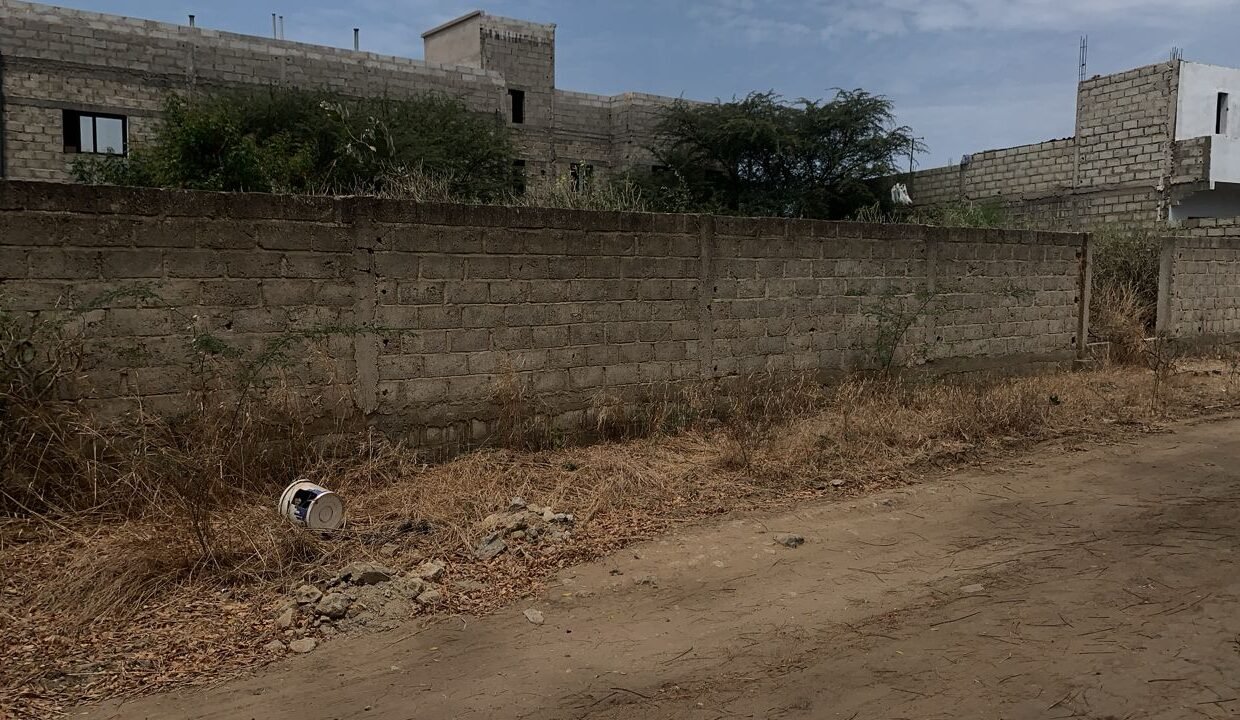 d097c453-6782-4758-9141-463f4c4ca01d