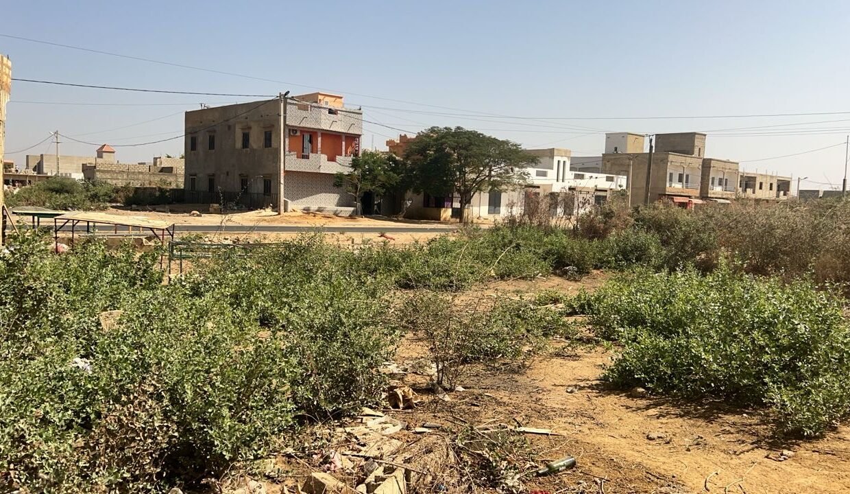 Terrain de 300m2 à Saly vélin 03