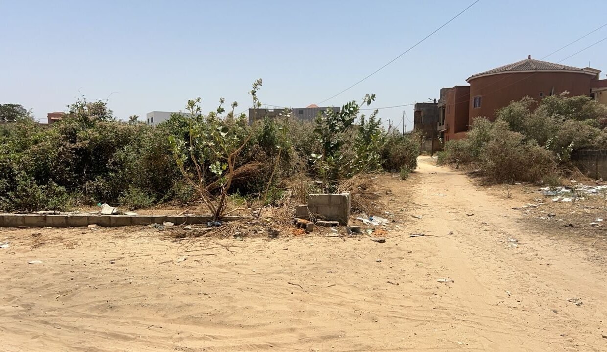 Terrain de 350m2 à saly 02