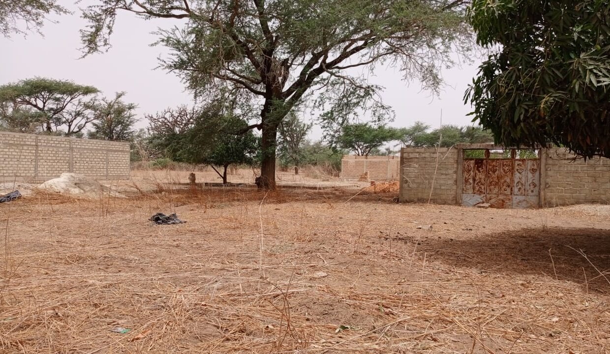 Terrain de 450m2 à malicounda 03