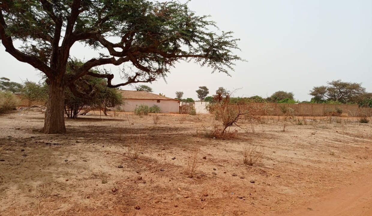 lot 225m2 à Malicounda 02