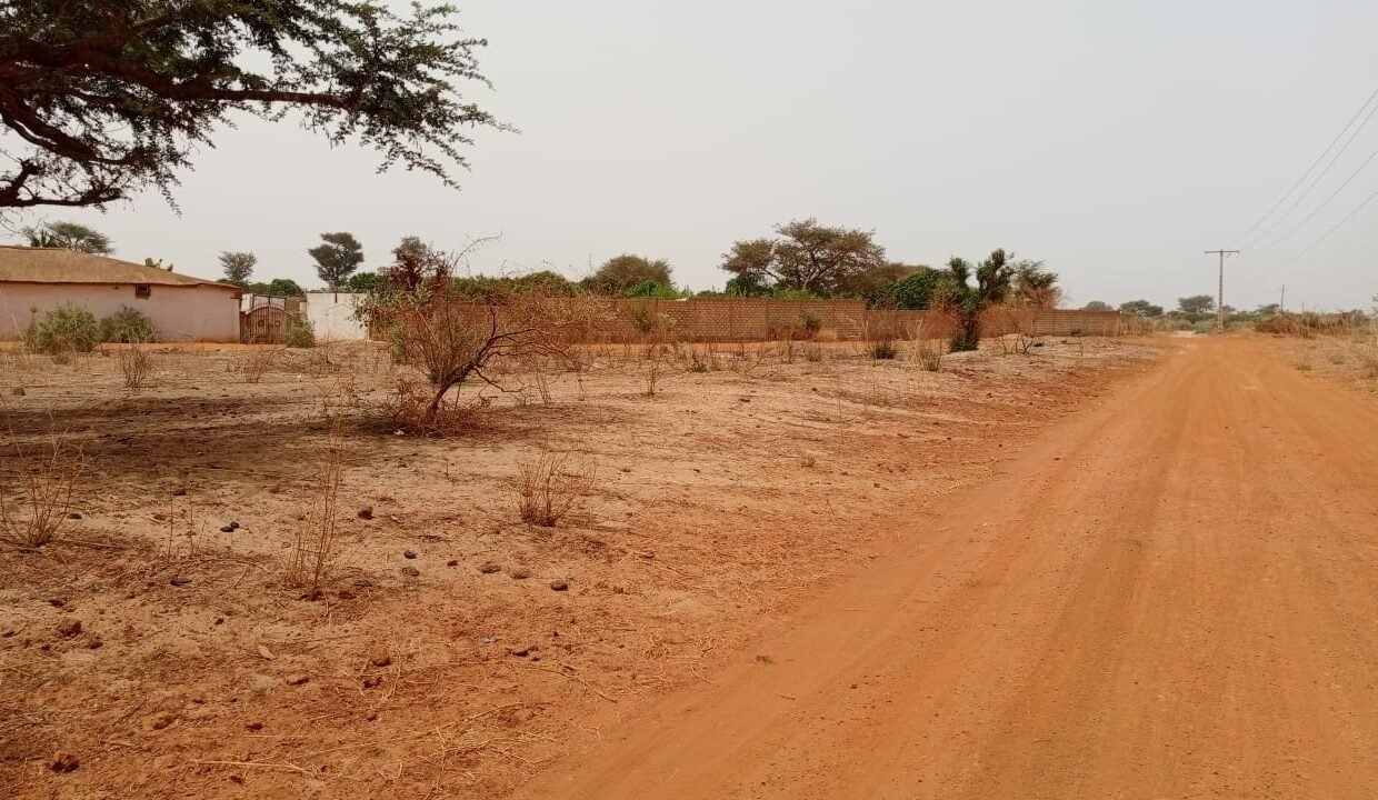 lot 225m2 à Malicounda 04