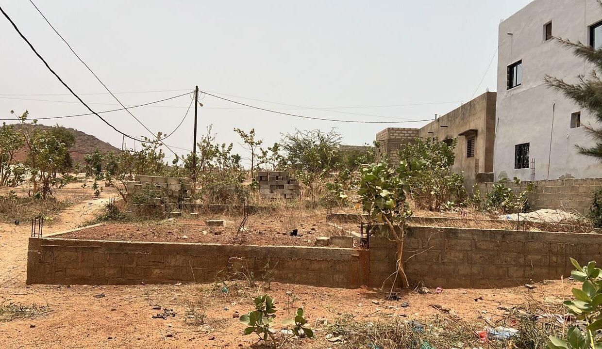 Terrain de 300m2 à yenne niangal 02