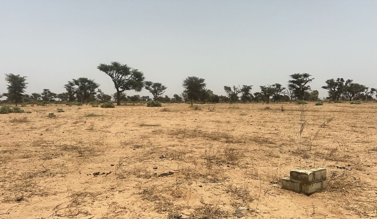 Terrains 225 mètres carrés à vendre à Malicounda Keur Malick Ba, Sénégal 2