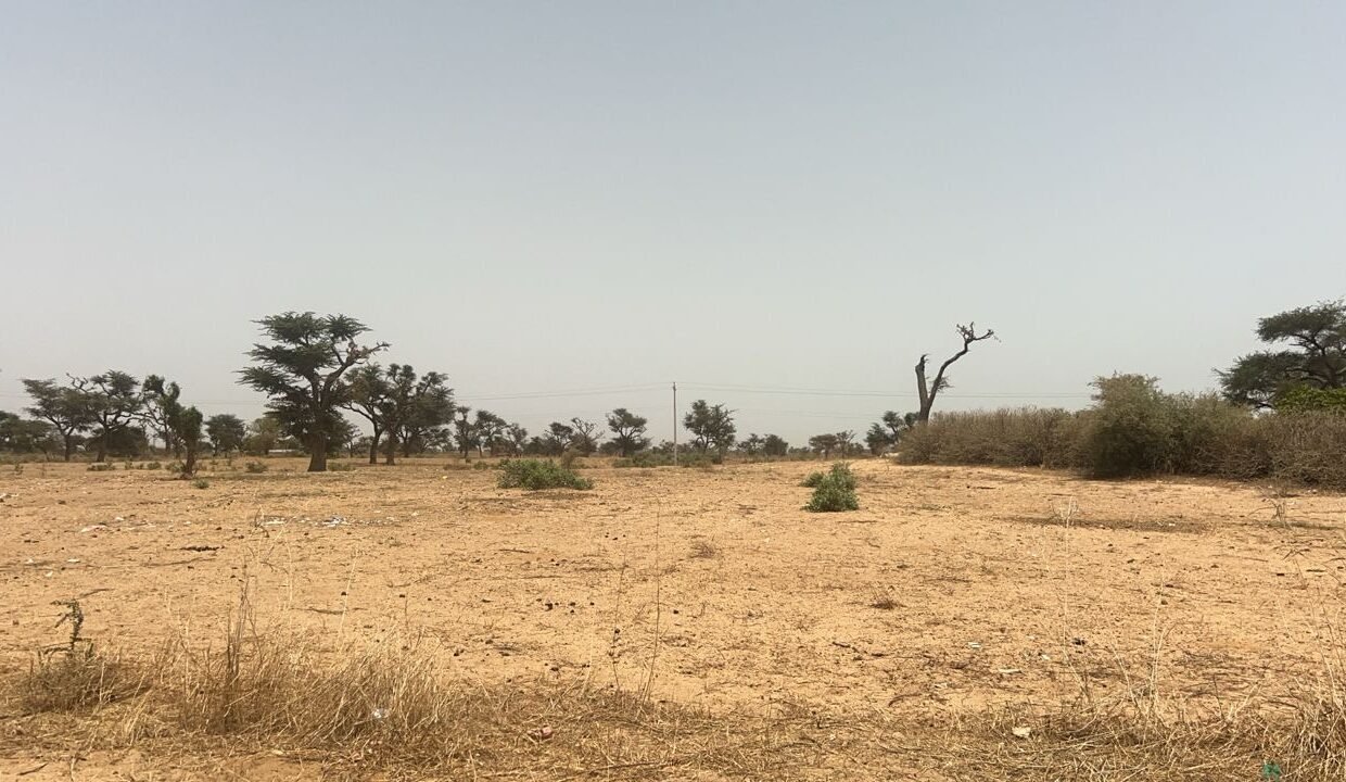 Terrains 225 mètres carrés à vendre à Malicounda Keur Malick Ba, Sénégal 3