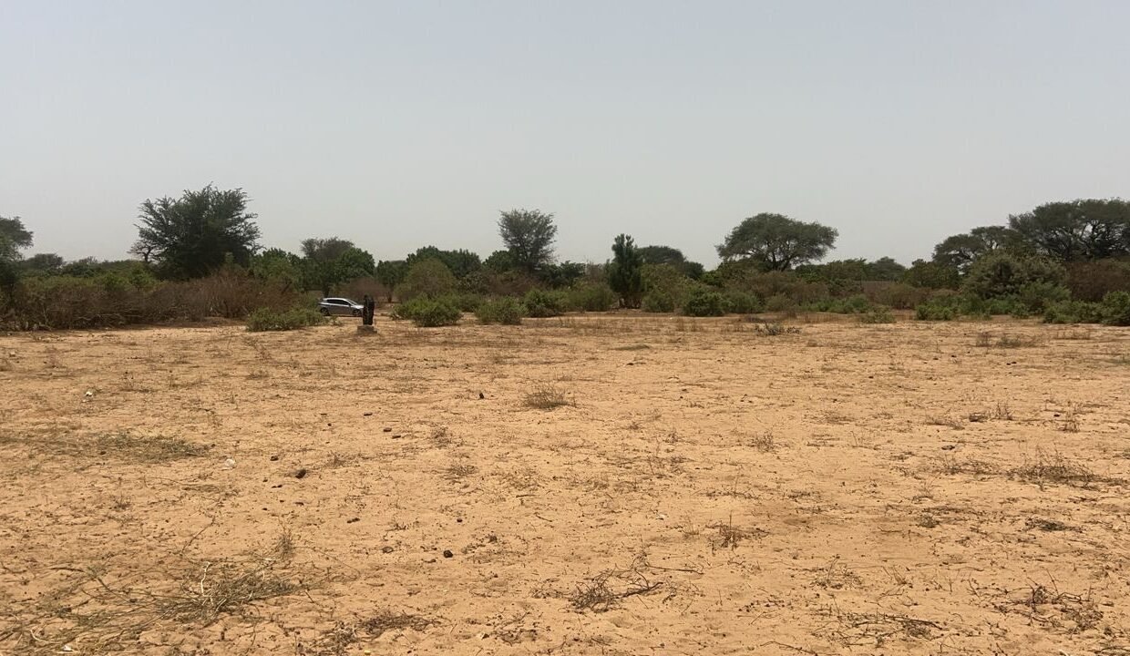 Terrains 225 mètres carrés à vendre à Malicounda Keur Malick Ba, Sénégal 4