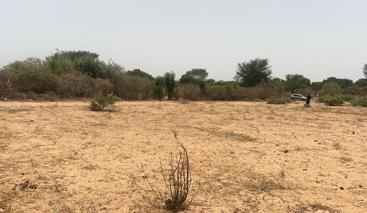 Terrains 225 mètres carrés à vendre à Malicounda Keur Malick Ba, Sénégal 5