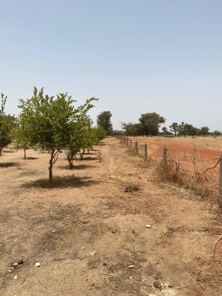 Terrain à vendre à Dakar – 2000000 m²